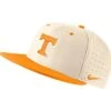 Nike AeroBill Two Tone Hat