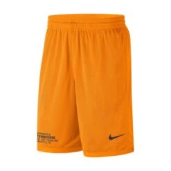Nike Dri-Fit Athletic Shorts